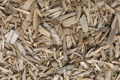 biomass boilers Hesleden